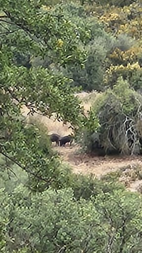 Indian Valley Outfitters guided hunt photo 4