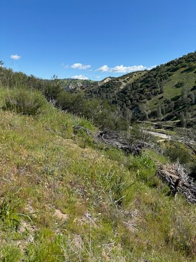 California hunting ranch brush hillside wildlife habitat
