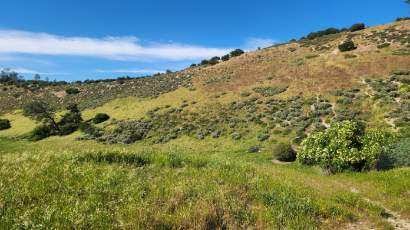 Central California game ranch hillside terrain and game trails