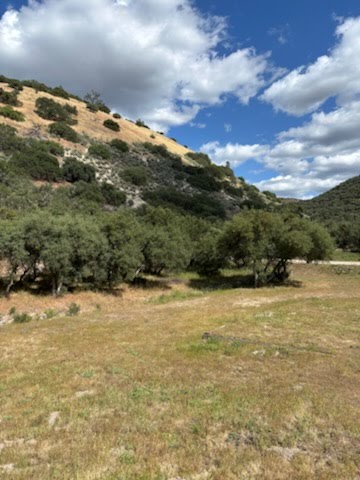 Central Coast hunting ranch rolling oak savannah pasture