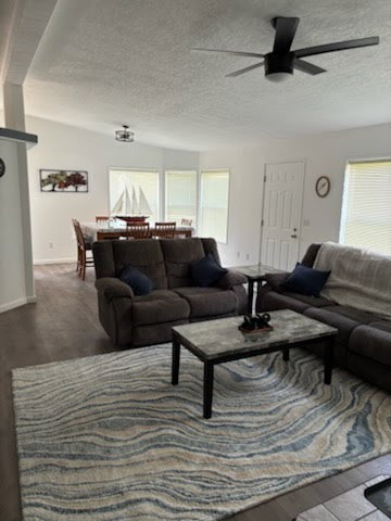 Hunting lodge living room with comfortable leather sofas
