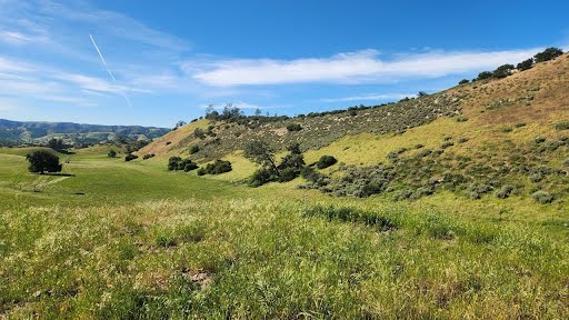 Monterey County private hunting ranch open grazing pasture