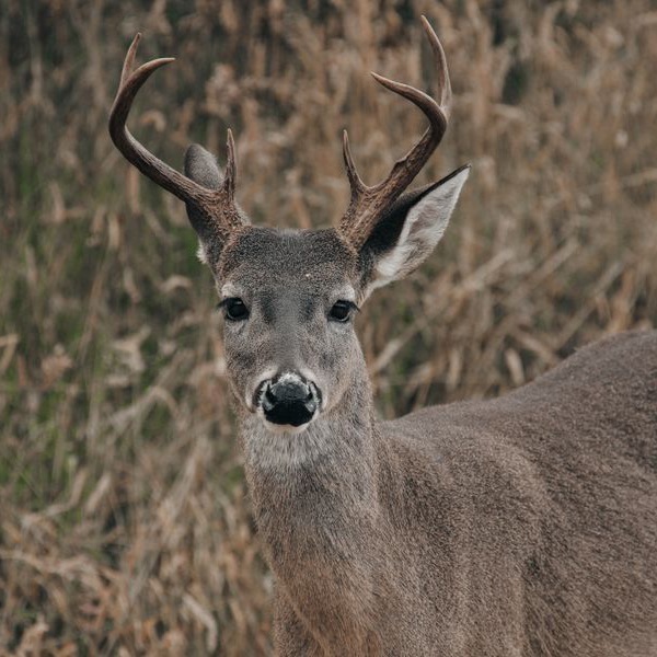 Indian Valley Outfitters